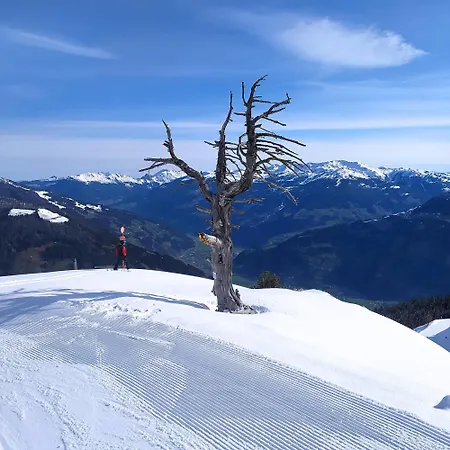 Haus Angelika Im Zillertal شقة
