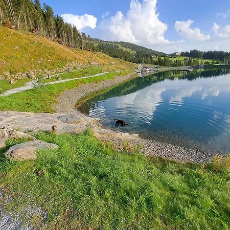 Апартаменты Haus Angelika Im Zillertal Хиппах